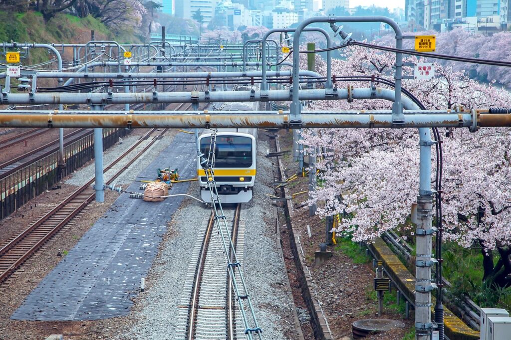 cherry blossoms, japan, train-2475101.jpg
