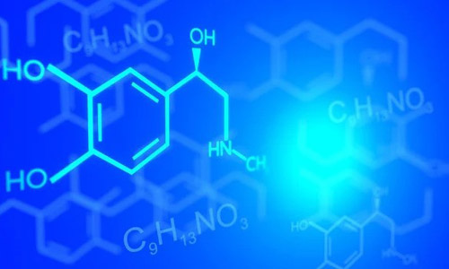 Chemical Patent Translation -- end